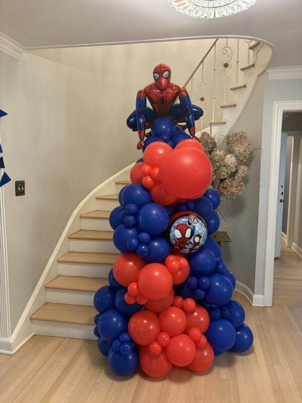 Birthday set up - Image 33