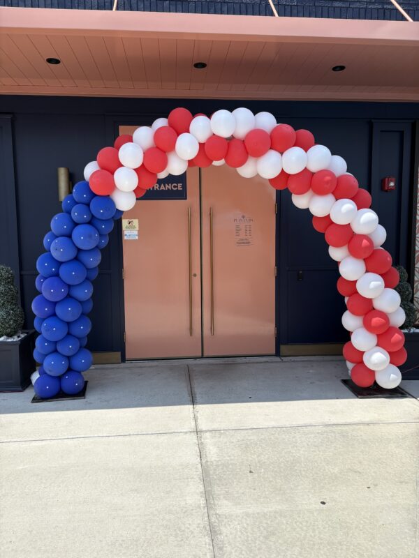 Entry way - balloon arch - Image 11